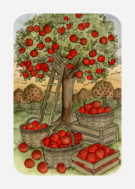 Kaart LA-11 Appelboomgaard